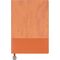 Promosyon ET-CIRAGAN Tarihsiz Defter Taba 15,5 x 21,5 cm, Renk: Taba, Ölçü: 15,5 x 21,5 cm 