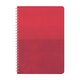 Promosyon YN-3131 313104 Aktaş Tarihsiz Defter (11x17 cm) Kırmızı, Renk: Kırmızı 